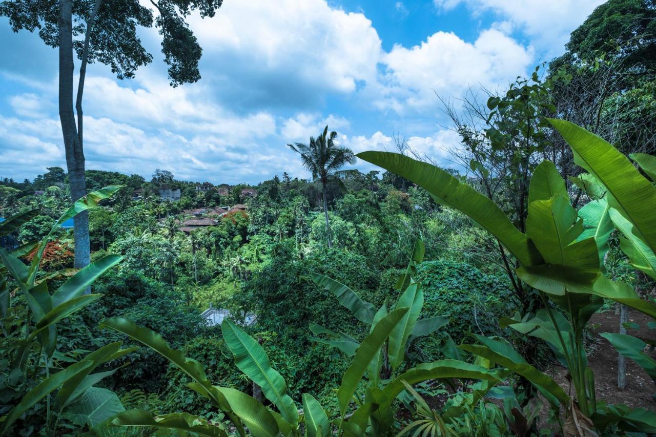Murni'S Houses & Spa Ubud  Ngoại thất bức ảnh
